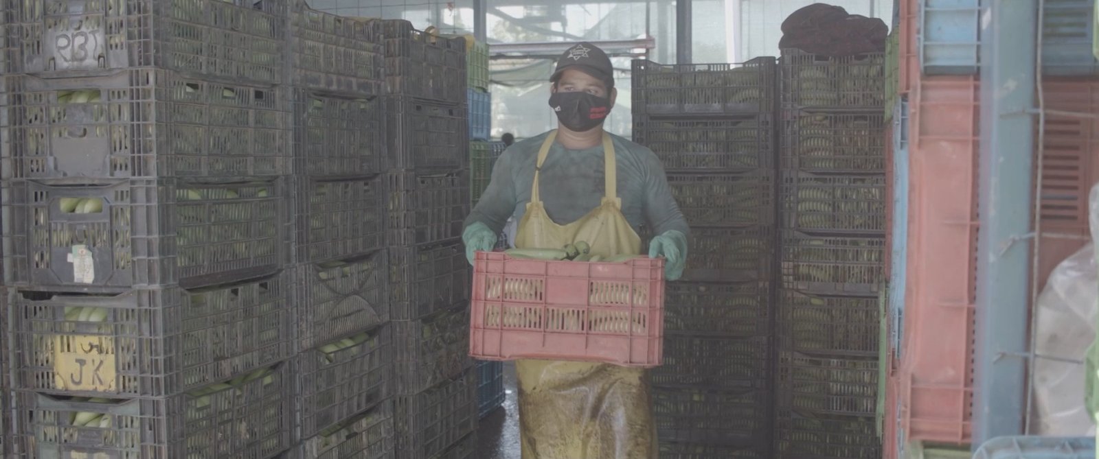 Empaque para distribución