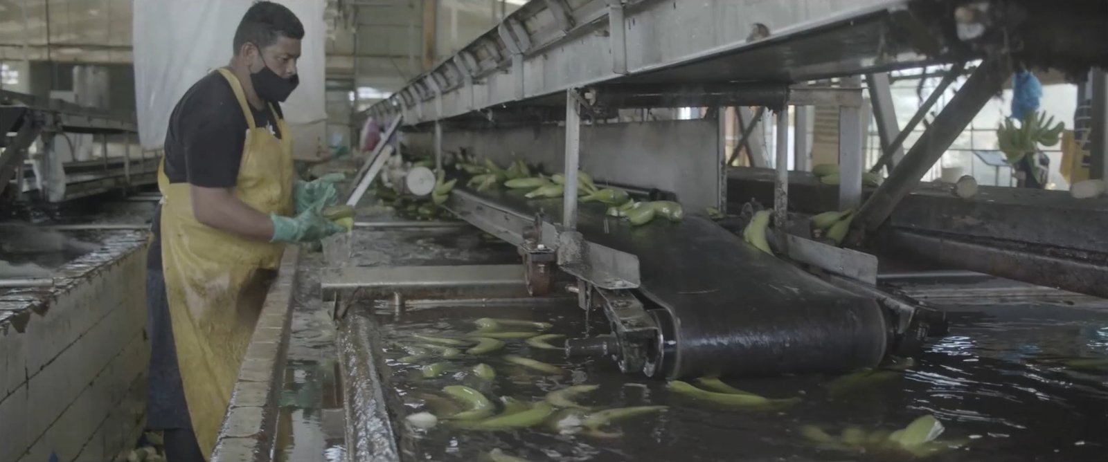 Variedad de productos